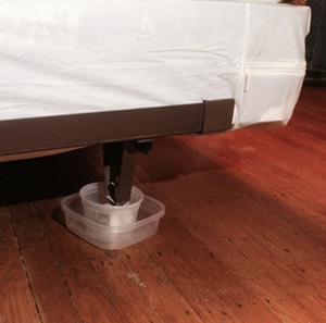 Plastic container to deter bed bugs